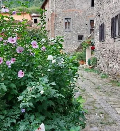 La Locanda Di Nonna Jolanda